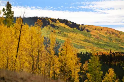 Circle Sept. 20 on your calendar for peak fall colors in Colorado mountains