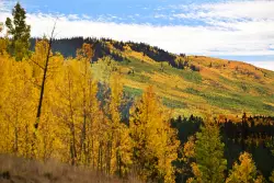 Circle Sept. 20 on your calendar for peak fall colors in Colorado mountains