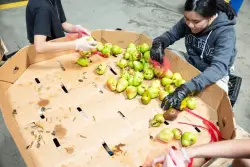 New rules for CalFresh food program mean thousands in San Diego losing benefits