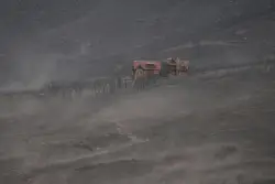 Colorado wildfires: Firefighters gain containment on 4 still-spreading Western Slope fires