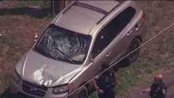 Police chase that started in MA, ends in NH; driver believed to have stolen guns