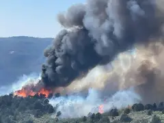 Wildfires ignite in Douglas County, add to damage from western slope blazes