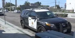 SDPD officers called in by Homeland Security agents confronted by protesters